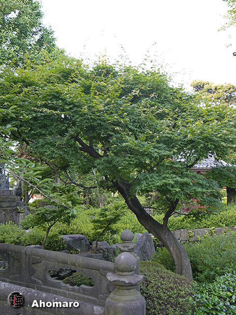 写真00