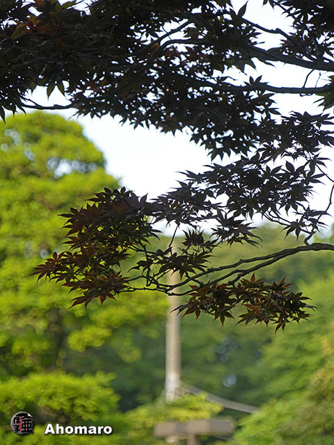 写真00