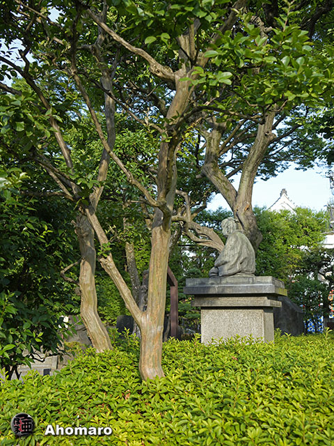 写真00