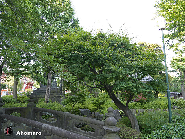 写真00