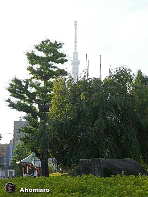写真00