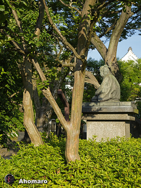 写真00