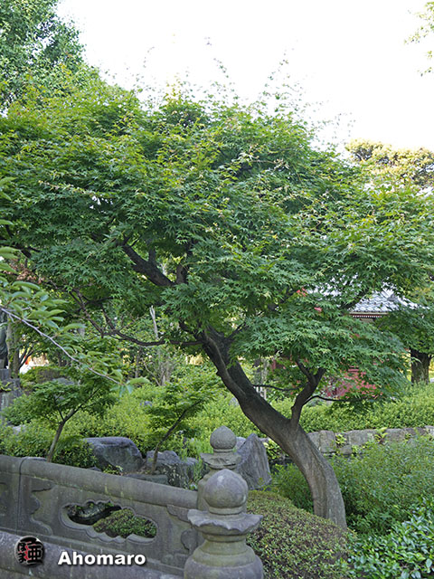 写真00