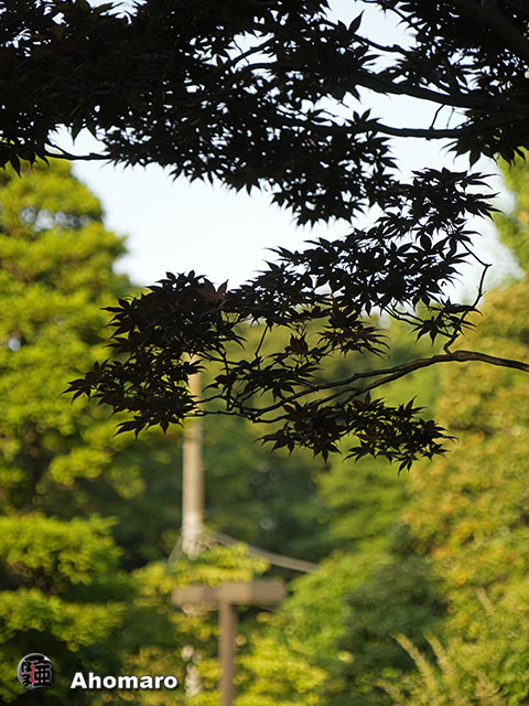 写真00