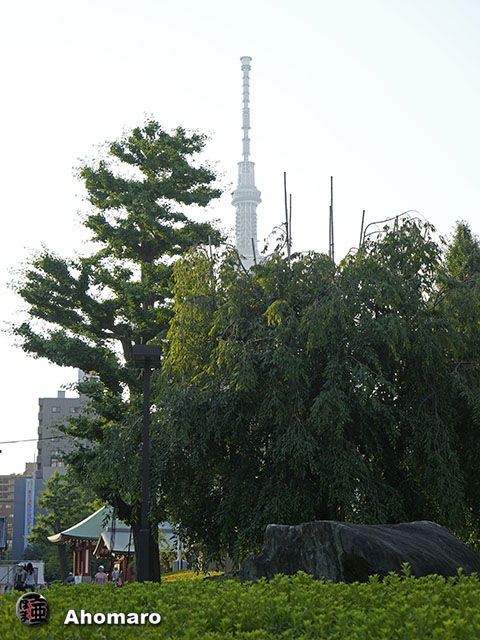 写真00