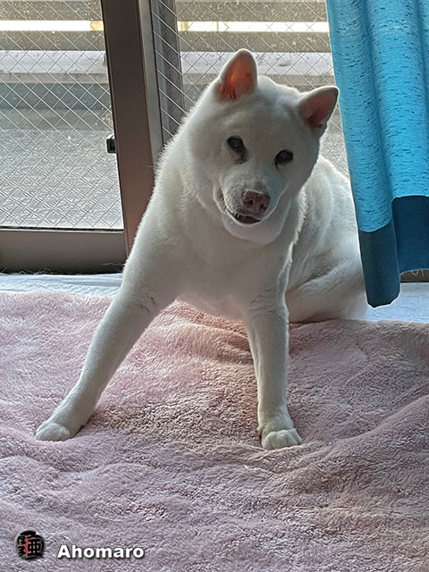 ʐ^00
