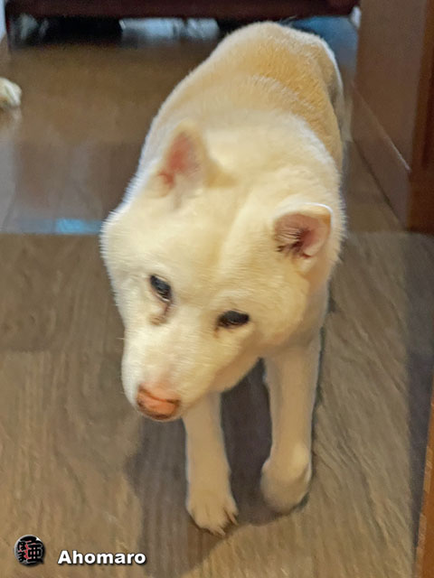 ʐ^00