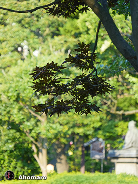 写真00