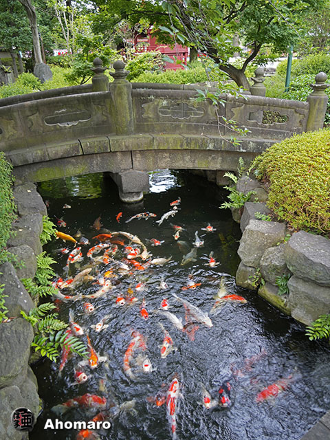 写真00