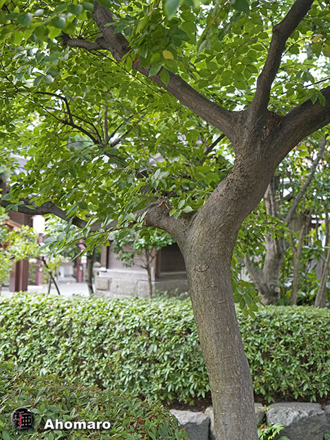 写真00