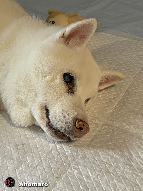 ʐ^00