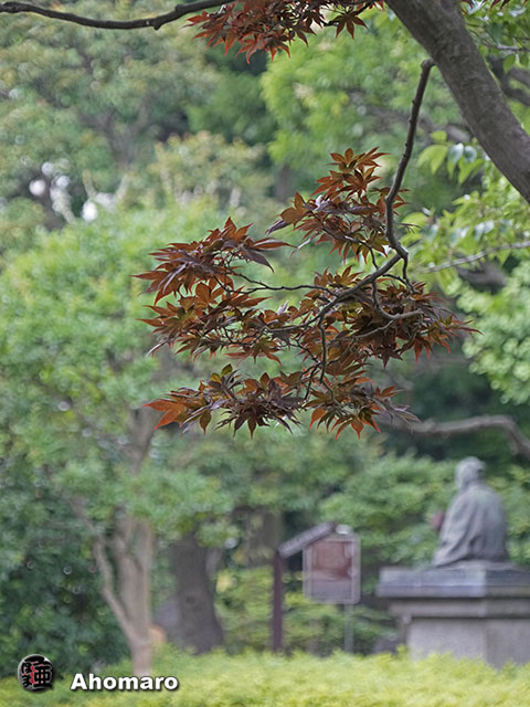 写真00