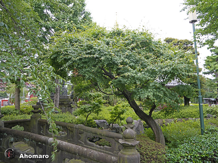 写真00
