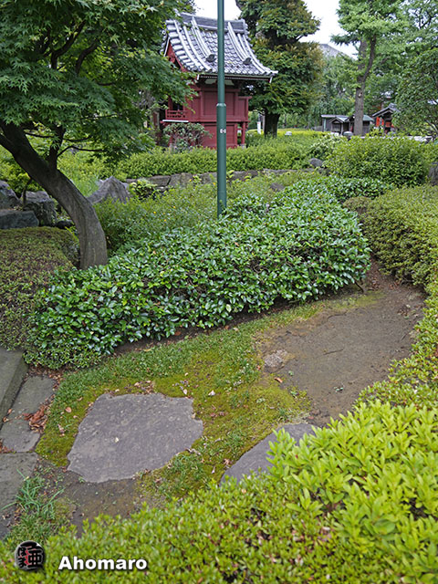 写真00