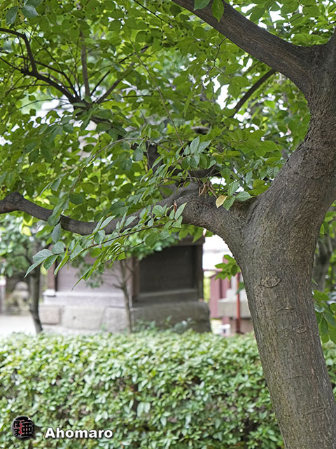 写真00