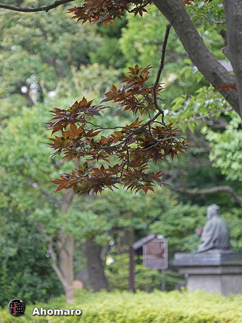 写真00