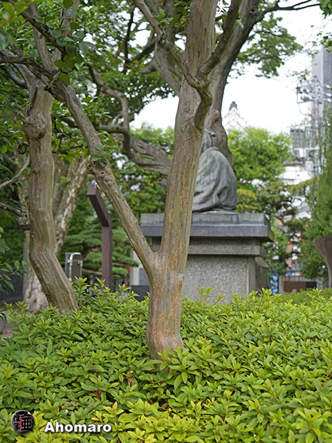写真00