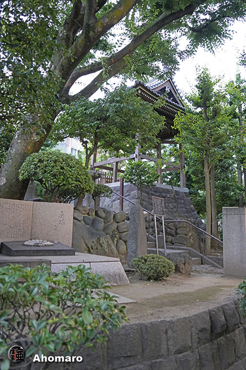 写真00
