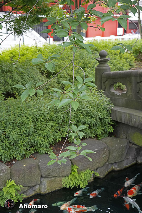 写真00