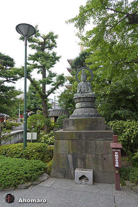 写真00