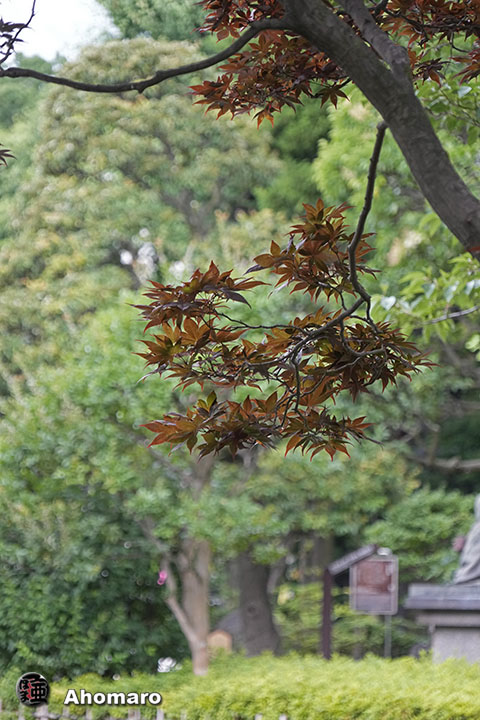 写真00