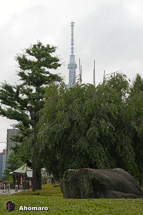 写真00