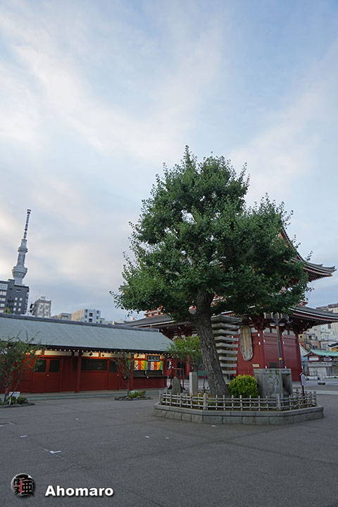 写真00