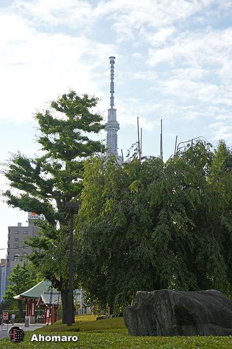 写真00