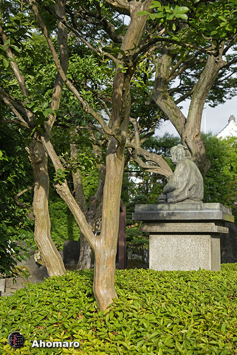 写真00