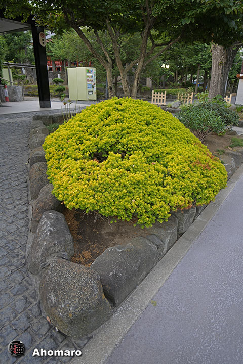 写真00