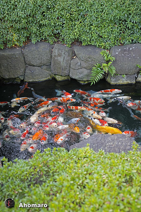 写真00