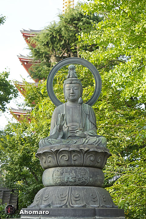 写真00