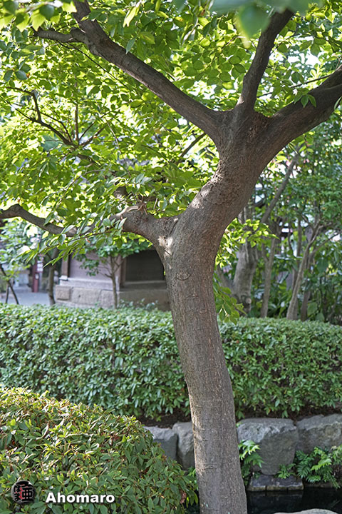 写真00