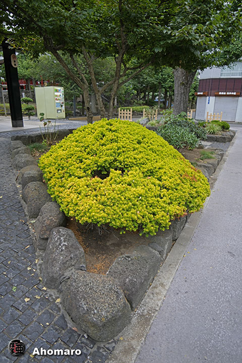 写真00