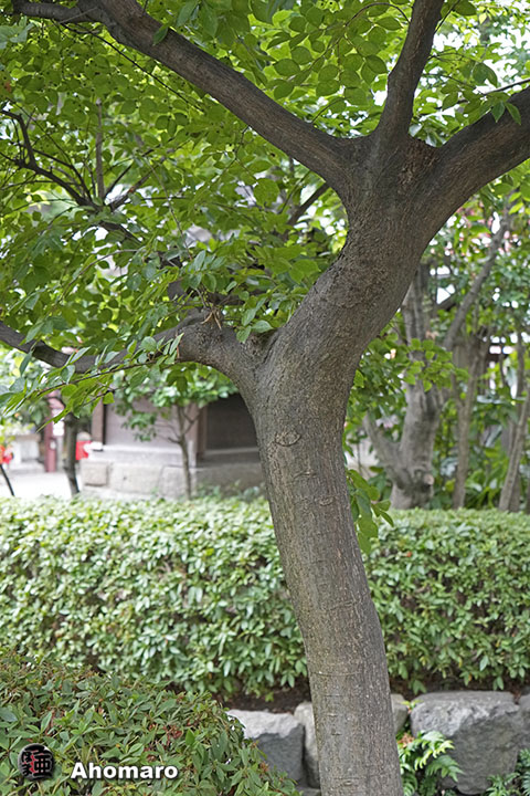 写真00