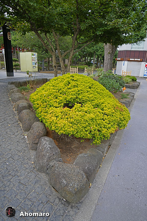 写真00