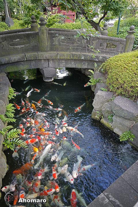 写真00