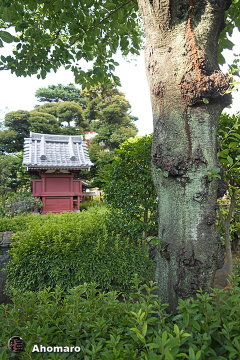 写真00