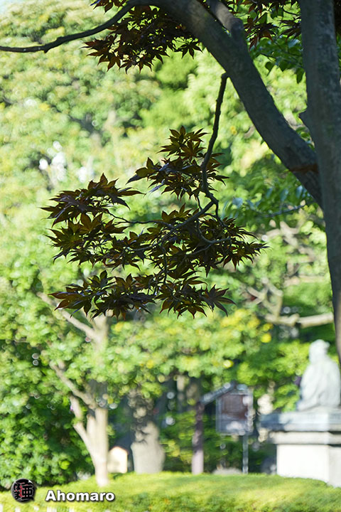 写真00