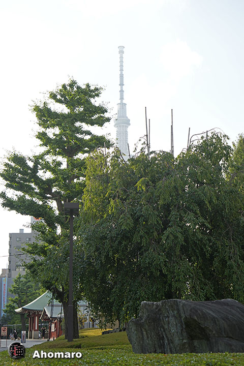 写真00