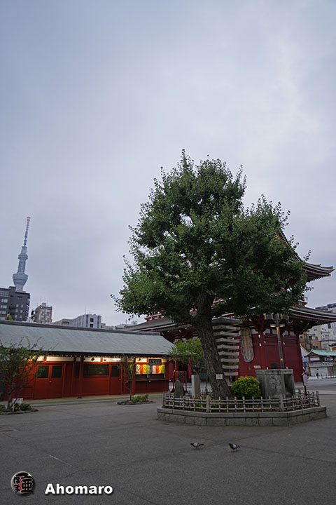 写真00