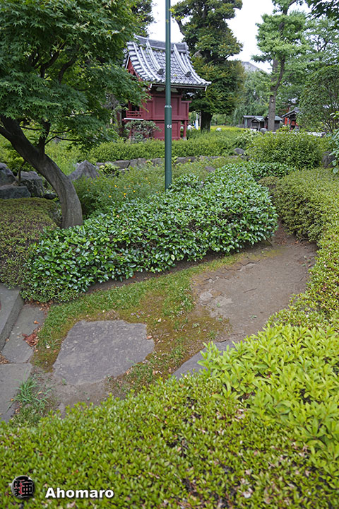 写真00