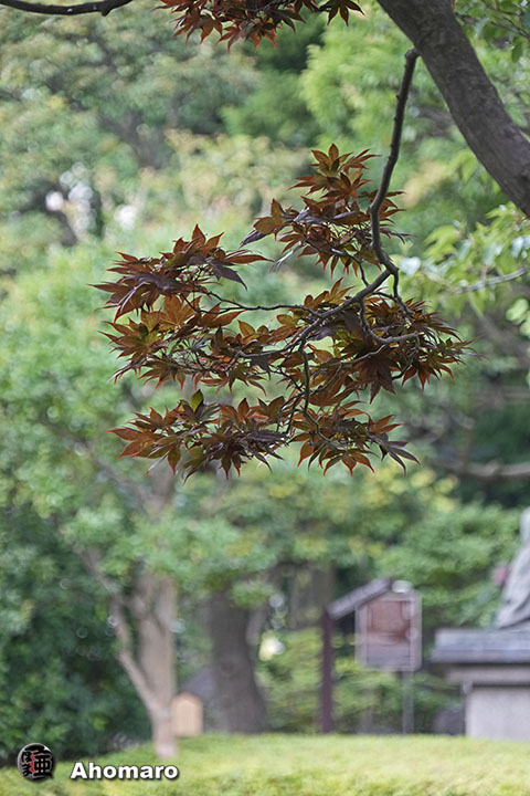写真00