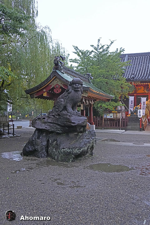 写真00
