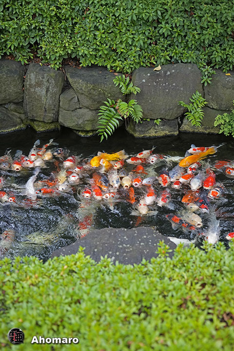 写真00