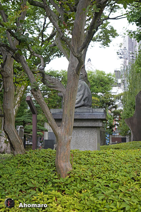 写真00