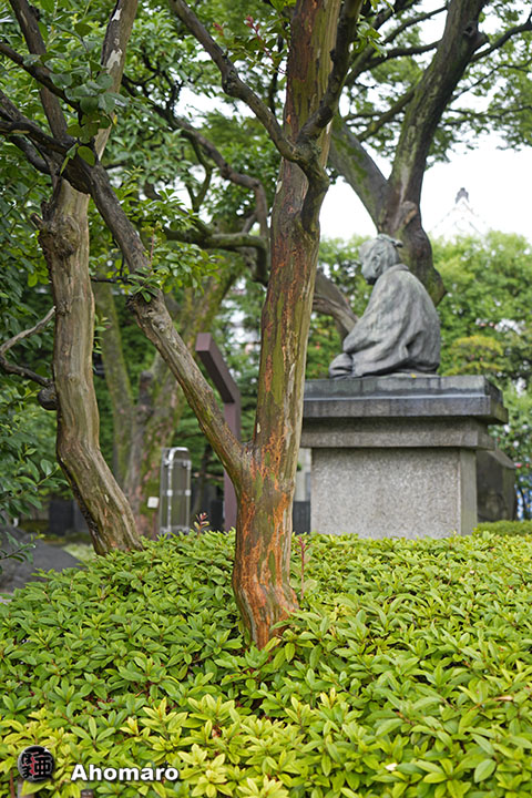 写真00