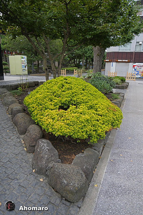 写真00