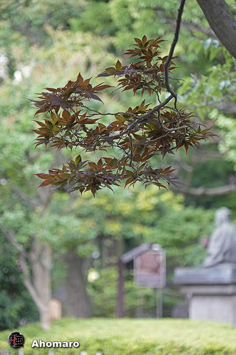 写真00