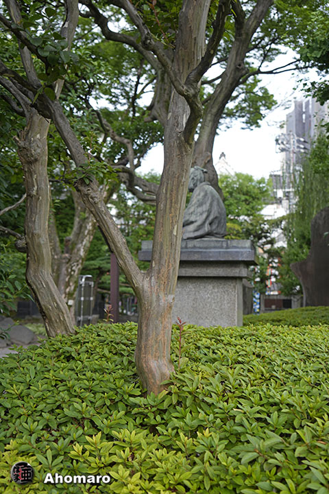 写真00